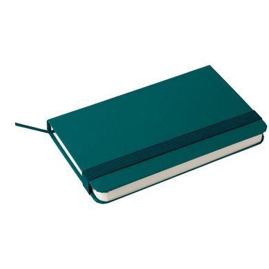 Книга записна Partner, 95*140, 96арк, кліт, малахітова