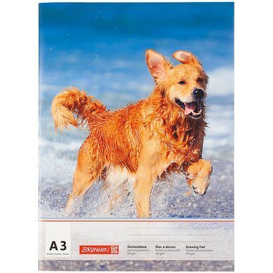Альбом-склейка для малювання А3 10 арк. 100 г/м2