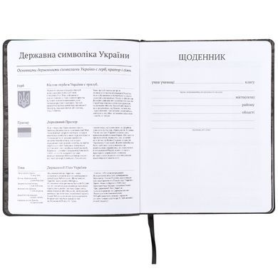 Щоденник шкільний, м'яка обкл. PU, DC