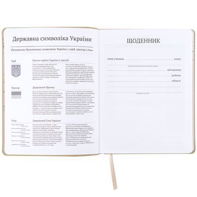 Щоденник шкільний, м'яка обкл. PU, HP