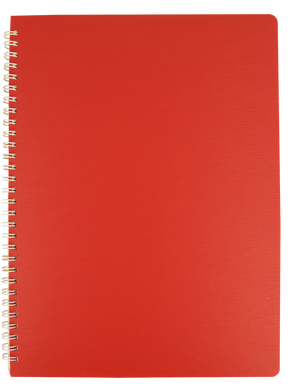 Зошит для нотаток BARK, А4, 60 аркушів,клітинка, пластикова обкладинка, червоний
