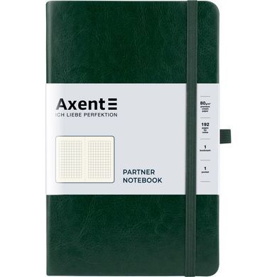 Книга записна Partner Lux, 125*195, 96арк, кл, зел