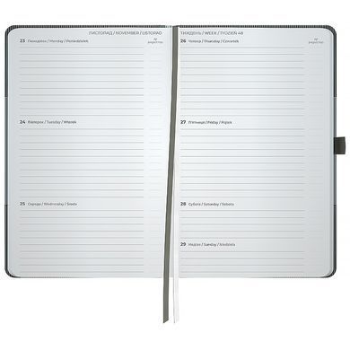 Щотижневик 2026 Partner Lines, 125*195, сірий