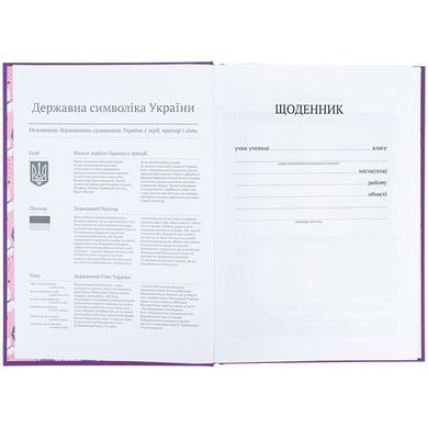 Щоденник шкільний, тверда обкл, Superstar