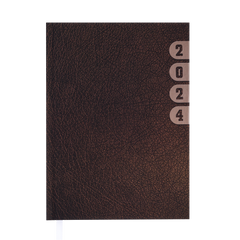 Ежедневник датированный 2024 INDEX, A5, коричневый
