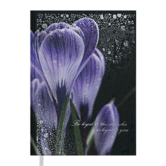 Щоденник недатований POSH, A5, фіолетовий