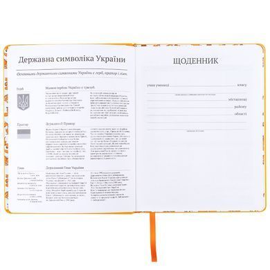 Щоденник шкільний, тверда обкл. PU, GF